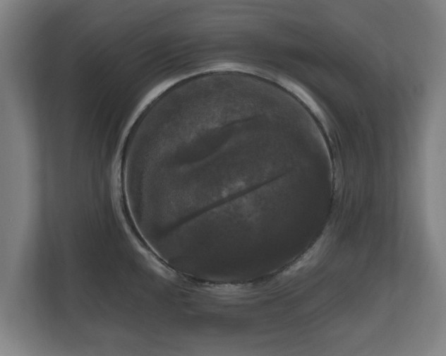 X0000111121048200907070953