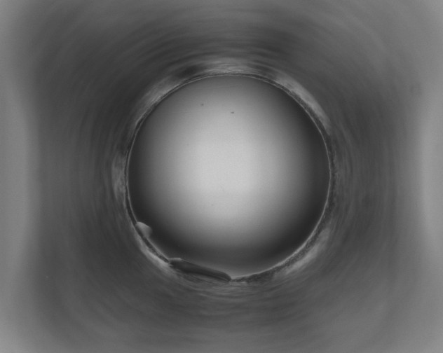 X0000111121049200907070954