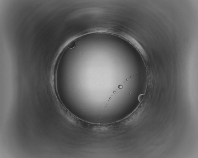 X0000111121051200907070954