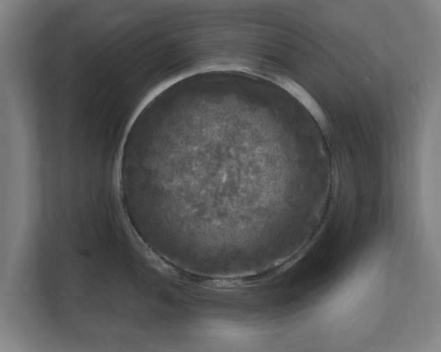 X0000111121052200907070954