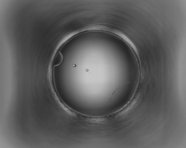 X0000111121053200907070954