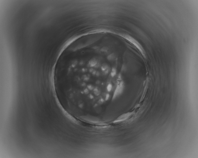 X0000111121055200907070954