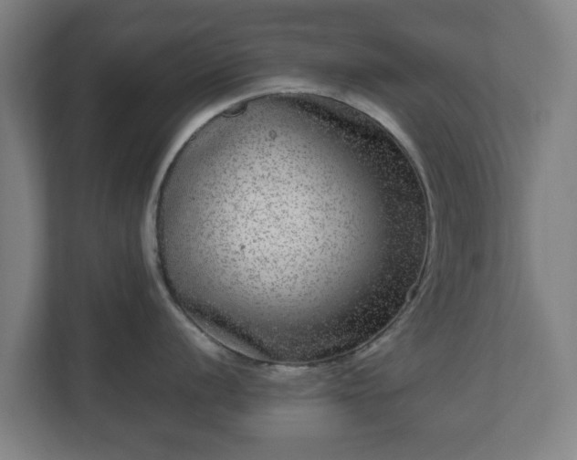 X0000111121056200907070954