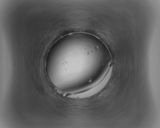 X0000111121057200907070953