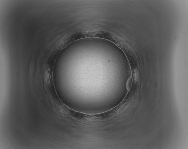 X0000111121059200907070953