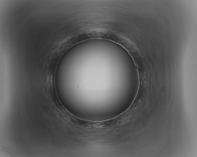 X0000111121061200907070953