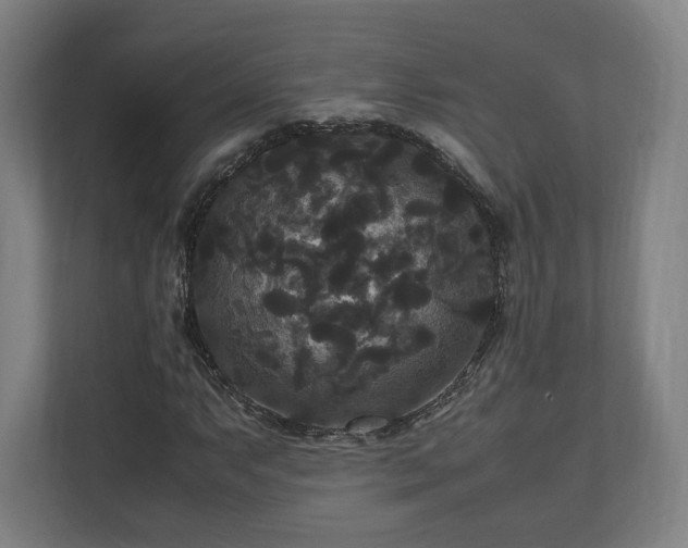 X0000111121063200907070953