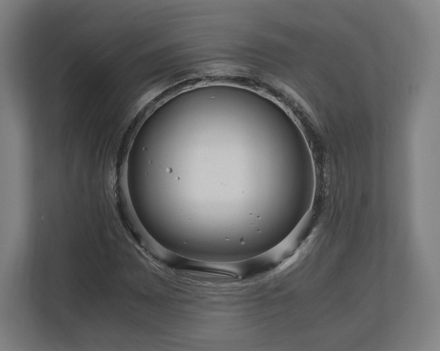 X0000111121065200907070953