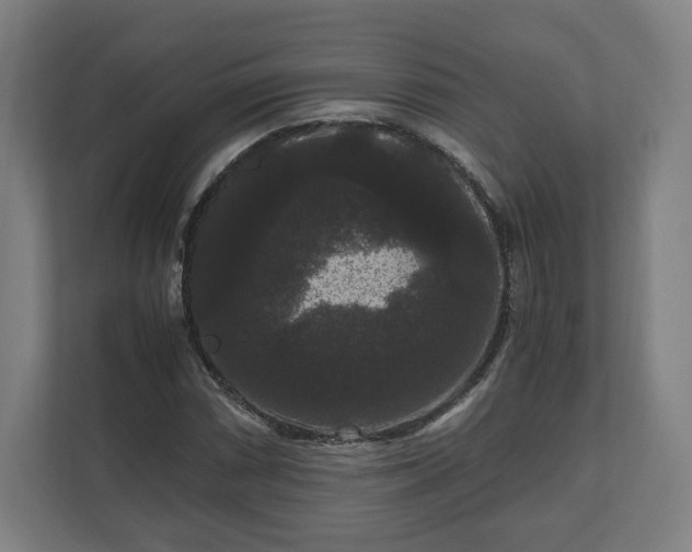 X0000111121066200907070953