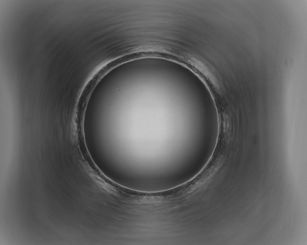 X0000111121068200907070953