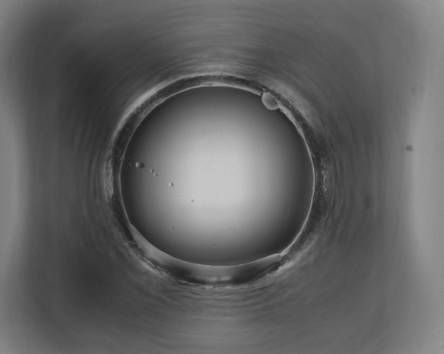 X0000111121069200907070953