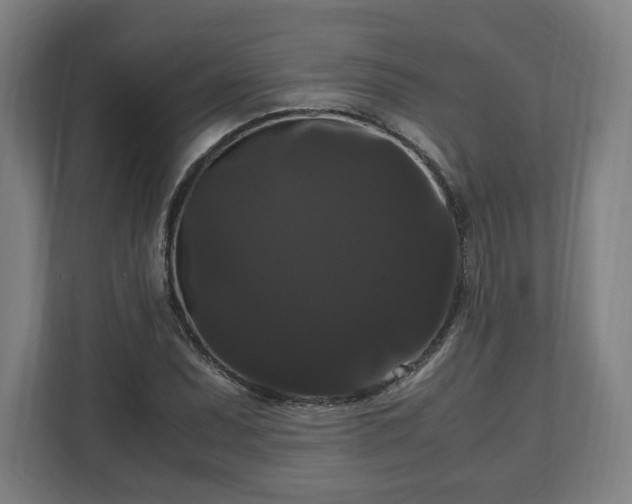 X0000111121071200907070953