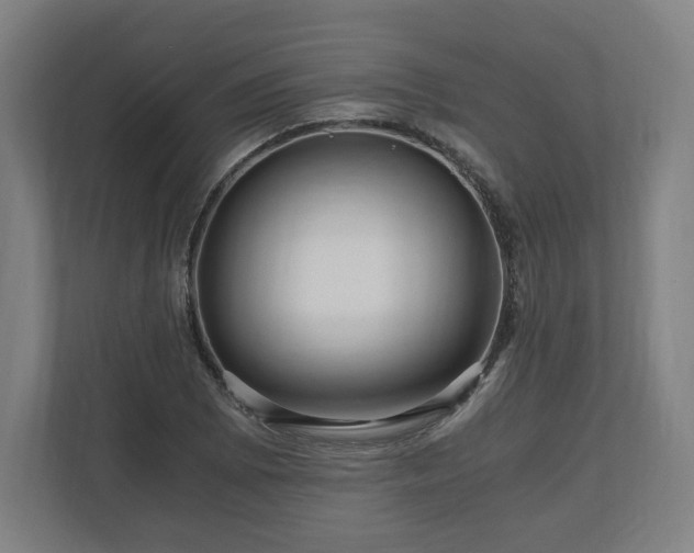 X0000111121073200907070953