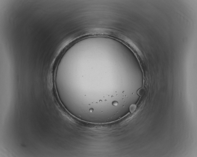 X0000111121075200907070953