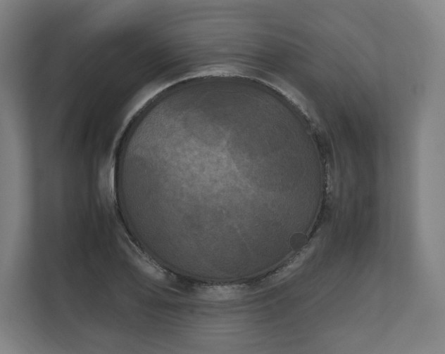 X0000111121078200907070953