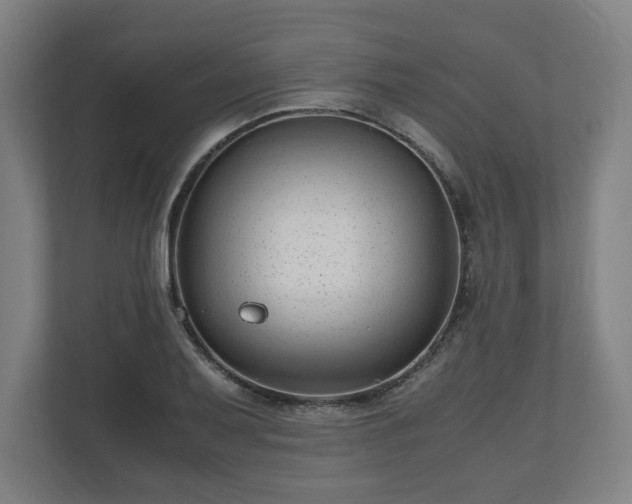 X0000111121079200907070953