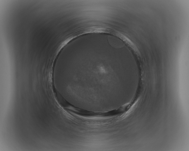 X0000111121081200907070953