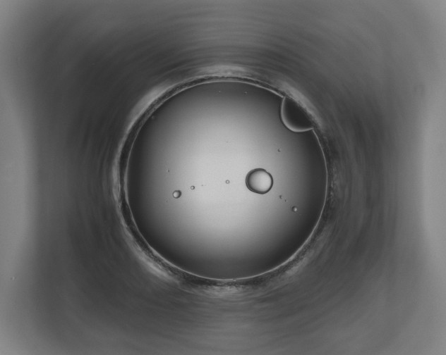 X0000111121082200907070953