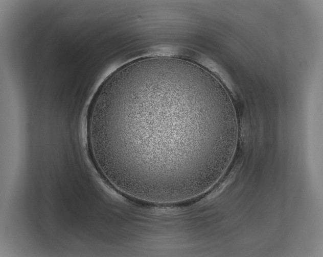 X0000111121083200907070953