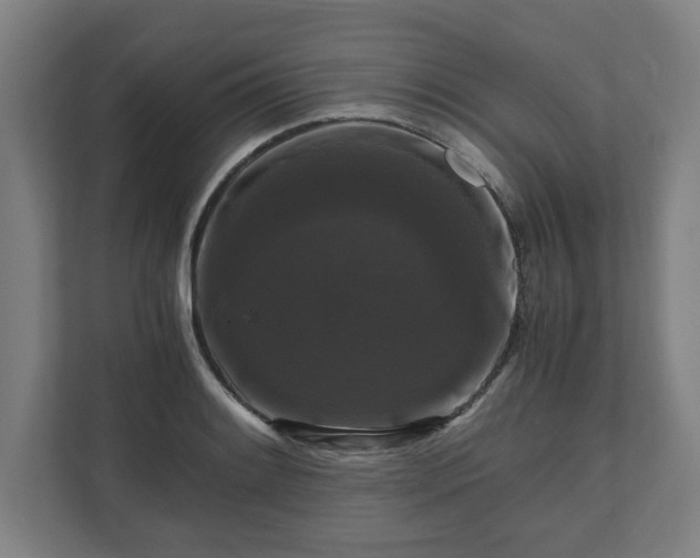 X0000111121084200907070953