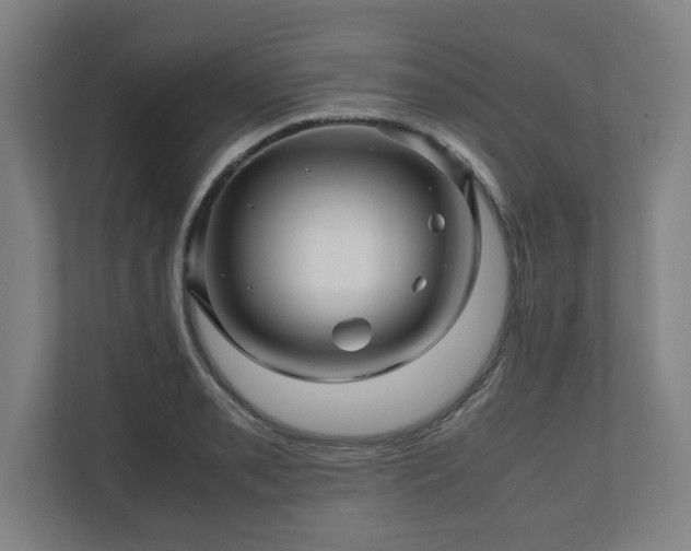 X0000111121085200907070953