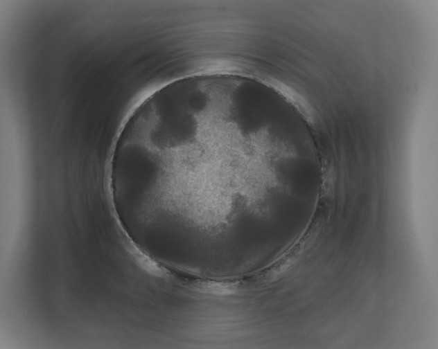 X0000111121086200907070953