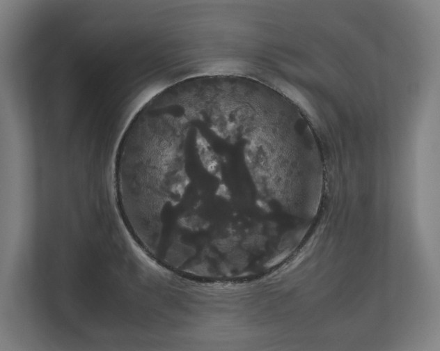 X0000111121087200907070953