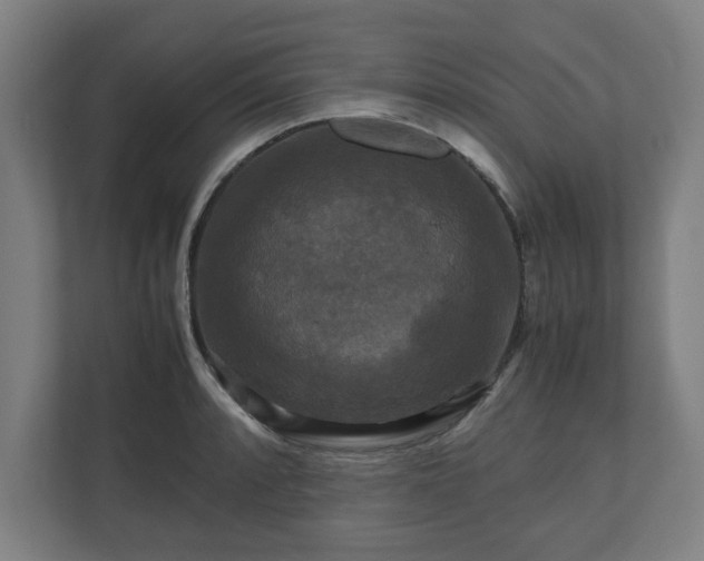 X0000111121088200907070953