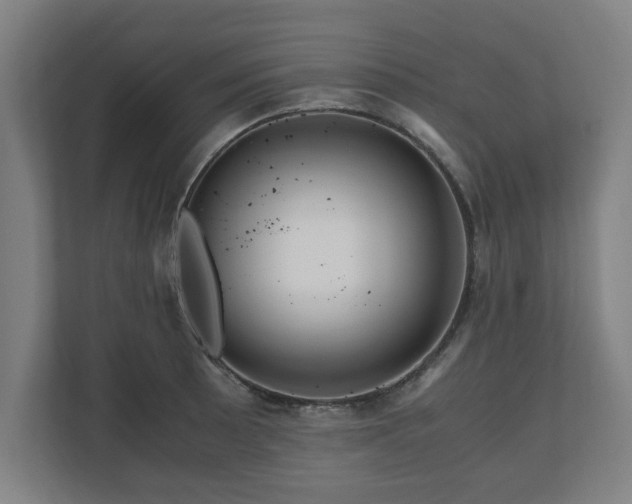 X0000111121089200907070953