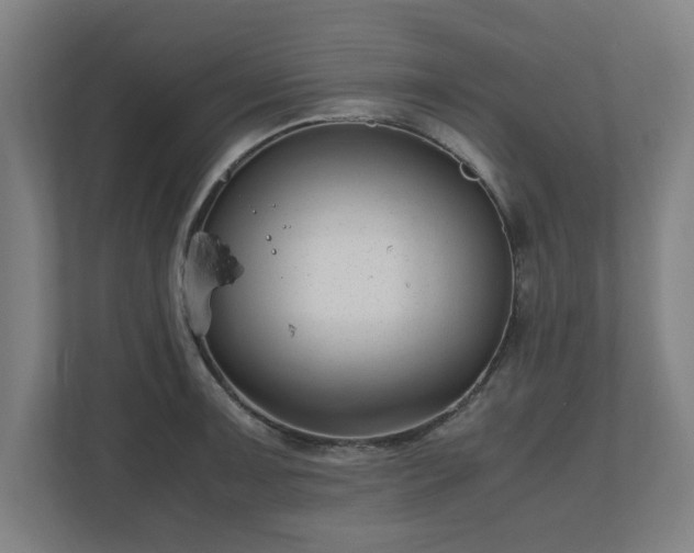 X0000111121091200907070953