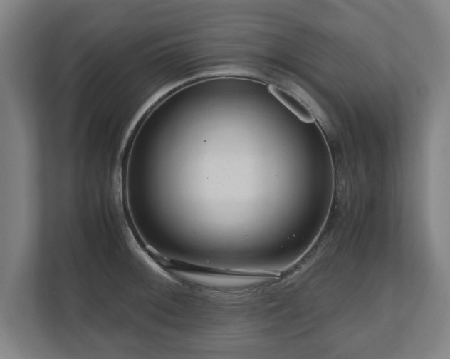 X0000111121092200907070953