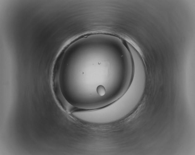 X0000111121093200907070953