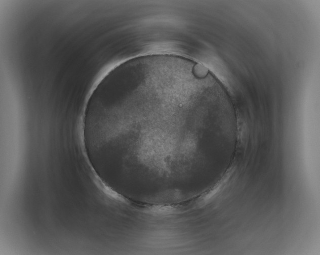 X0000111121094200907070952