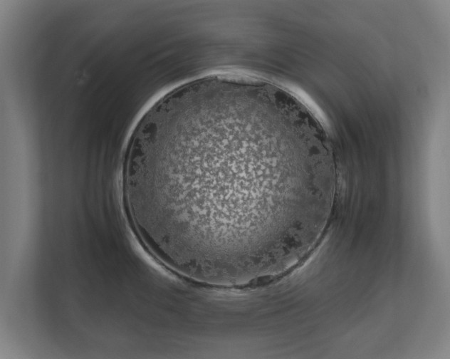 X0000111121100200907070952