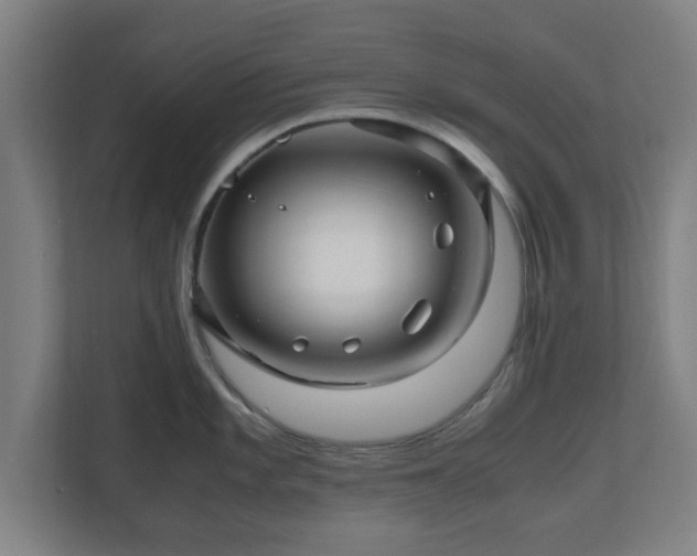 X0000111121101200907070952