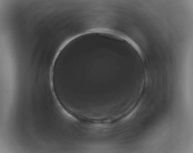 X0000111121102200907070952