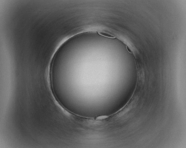 X0000111121103200907070952