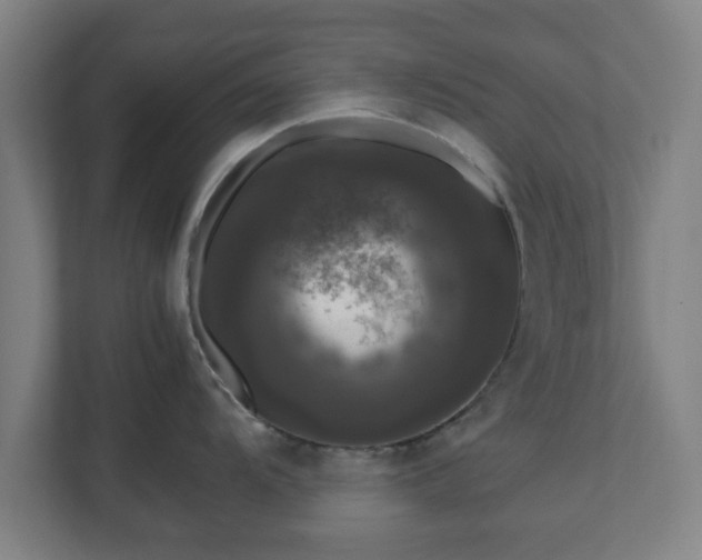 X0000111121104200907070952