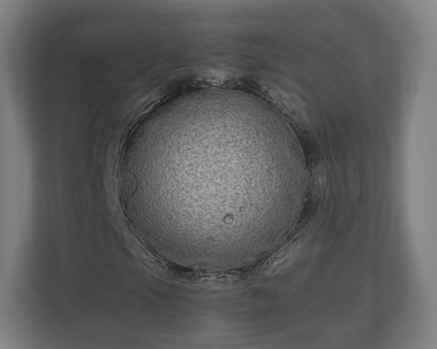 X0000111121105200907070952