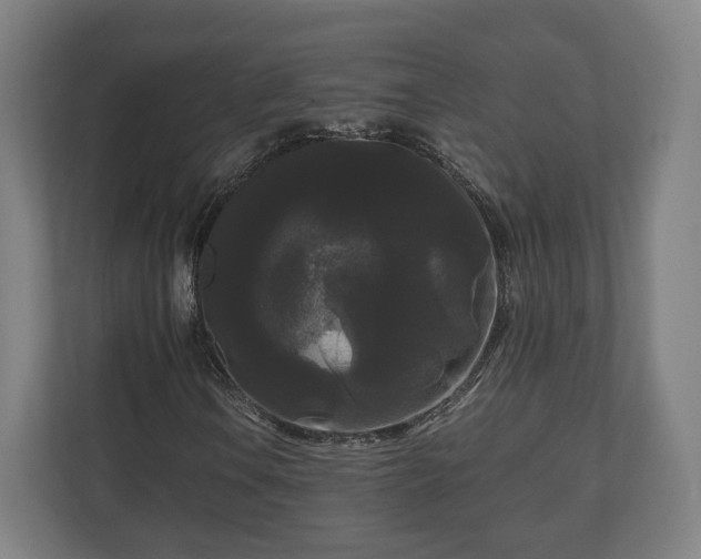 X0000111121106200907070952