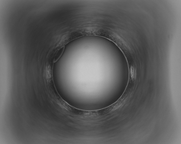 X0000111121107200907070952