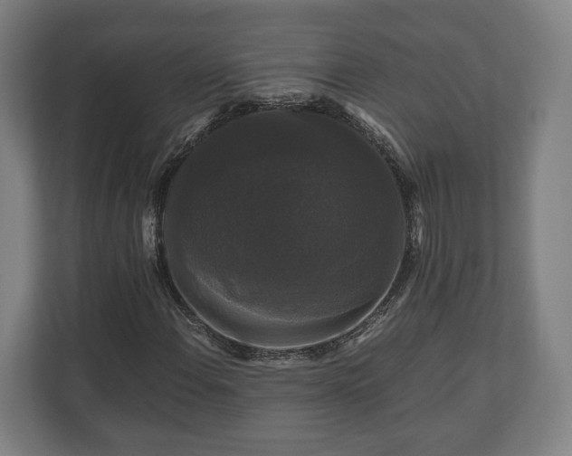 X0000111121108200907070952