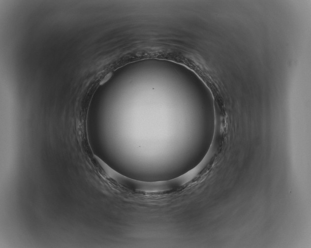 X0000111121109200907070952