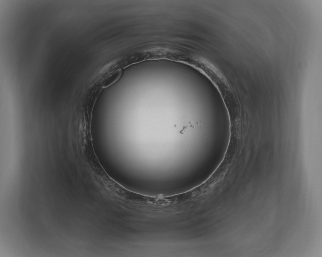 X0000111121111200907070952