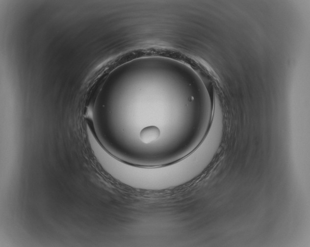 X0000111121112200907070952