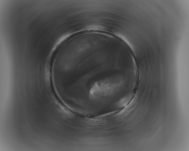 X0000111121115200907070952