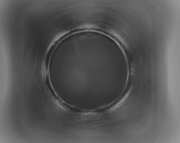 X0000111121117200907070952