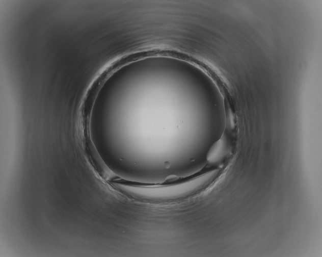 X0000111121118200907070952