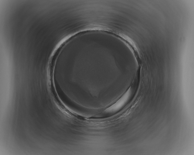 X0000111121120200907070952