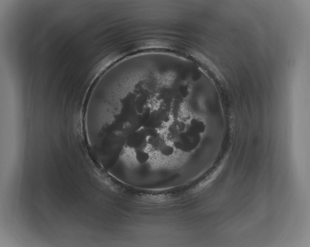 X0000111121121200907070952